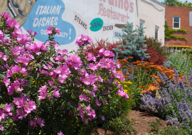 Street Gardens