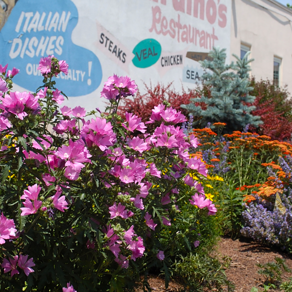 Street Gardens